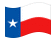 Texas-Bandiera sventolante