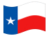 Texas-Bandiera sventolante