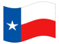 Bandiera animata Texas