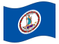 Bandiera animata Virginia