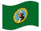 Bandiera animata Washington