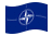 NATO (Organizzazione del Trattato del Nord Atlantico)-Bandiera sventolante
