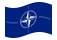 NATO (Organizzazione del Trattato del Nord Atlantico)-Bandiera sventolante