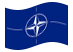 NATO (Organizzazione del Trattato del Nord Atlantico)-Bandiera sventolante