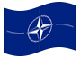 Bandiera animata NATO (Organizzazione del Trattato del Nord Atlantico)