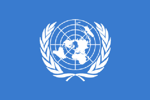 Bandiera Nazioni Unite (ONU), Bandiera Nazioni Unite (ONU)