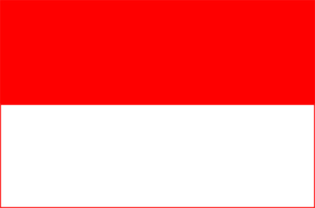 Bandiera Salisburgo (provincia), Bandiera Salisburgo (provincia)