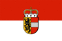 Bandiera Salisburgo (bandiera di servizio)