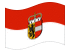 Salisburgo (bandiera di servizio)-Bandiera sventolante