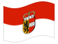 Bandiera animata Salisburgo (bandiera di servizio)