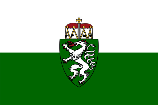 Bandiera Stiria (bandiera di servizio), Bandiera Stiria (bandiera di servizio)