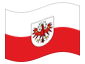 Bandiera animata Tirolo (bandiera di servizio)