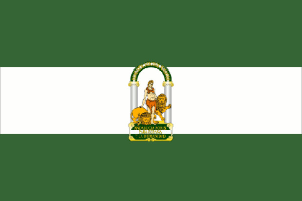 Bandiera Andalusia, Bandiera Andalusia