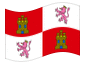 Bandiera animata Castiglia-León