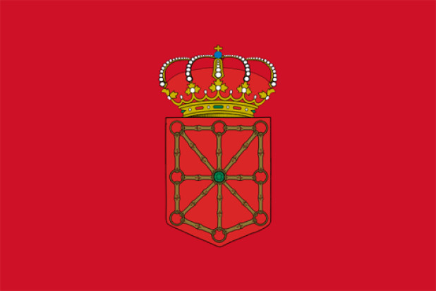 Bandiera Navarra, Bandiera Navarra