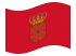 Navarra-Bandiera sventolante