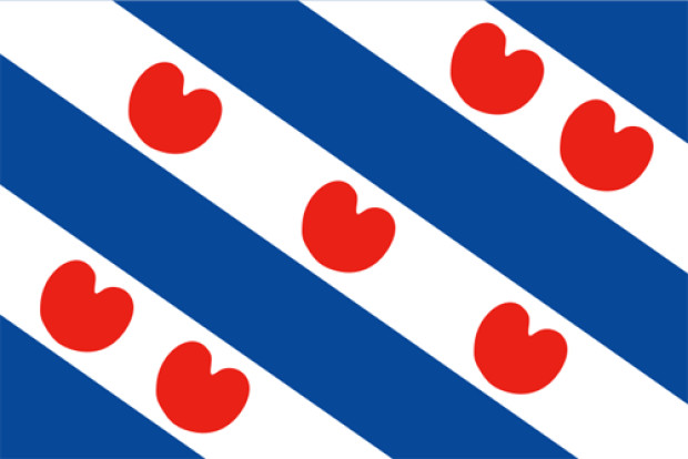 Bandiera Frisia (Fryslân), Bandiera Frisia (Fryslân)