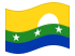 Nueva Esparta-Bandiera sventolante