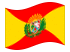 Aragua-Bandiera sventolante