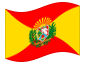 Bandiera animata Aragua