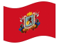 Bandiera animata Caracas