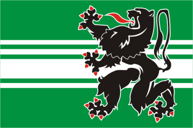 Bandiera Fiandre Orientali, Bandiera Fiandre Orientali