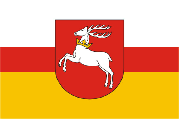 Bandiera Lublino (Lubelskie)