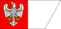 Grafica della bandiera Wielkopolska (Grande Polonia)