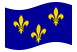 Île-de-France-Bandiera sventolante