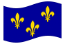 Bandiera animata Île-de-France