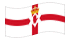 Irlanda del Nord-Bandiera sventolante