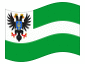 Bandiera animata Chernihiv