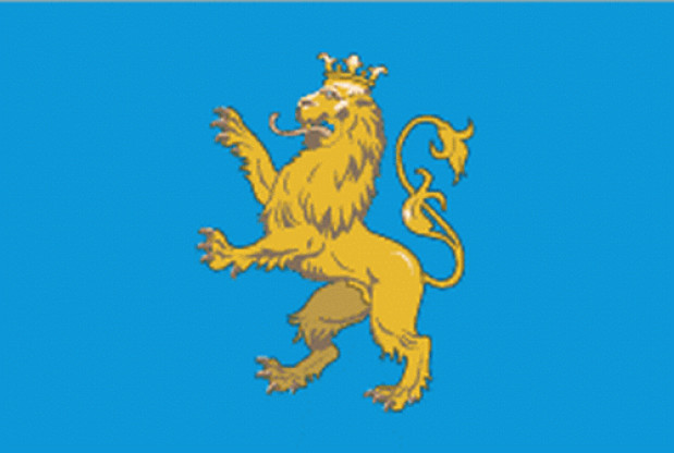Bandiera Lviv