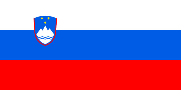 Bandiera Slovenia, Bandiera Slovenia