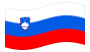 Slovenia-Bandiera sventolante