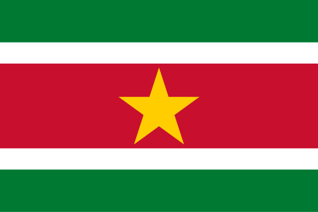 Bandiera Suriname, Bandiera Suriname