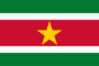 Grafica della bandiera Suriname