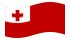 Tonga-Bandiera sventolante