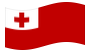 Tonga-Bandiera sventolante