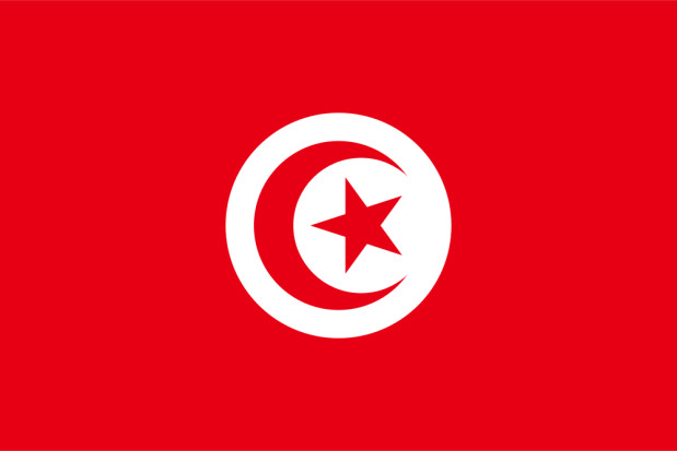 Bandiera Tunisia, Bandiera Tunisia