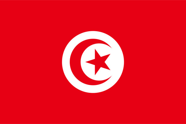 Bandiera Tunisia, Bandiera Tunisia