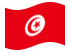 Tunisia-Bandiera sventolante