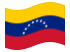 Venezuela-Bandiera sventolante