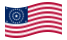 USA 38 stelle (1877 - 1890)-Bandiera sventolante
