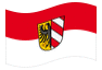 Bandiera animata Norimberga