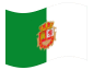 Bandiera animata Fuerteventura